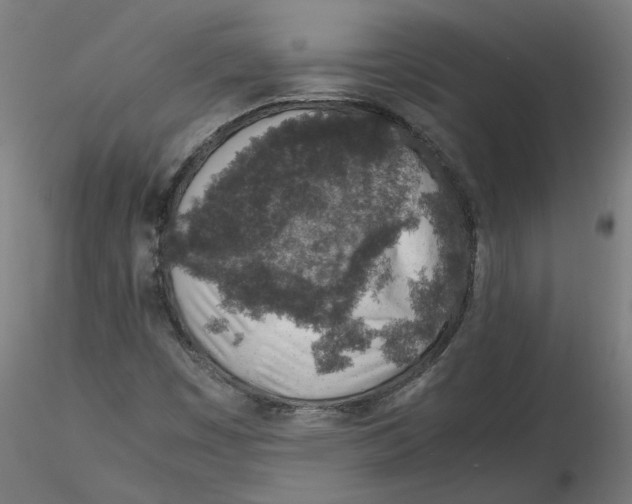 X0000116101449200912211601