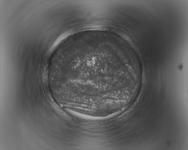 X0000116101450200912211601