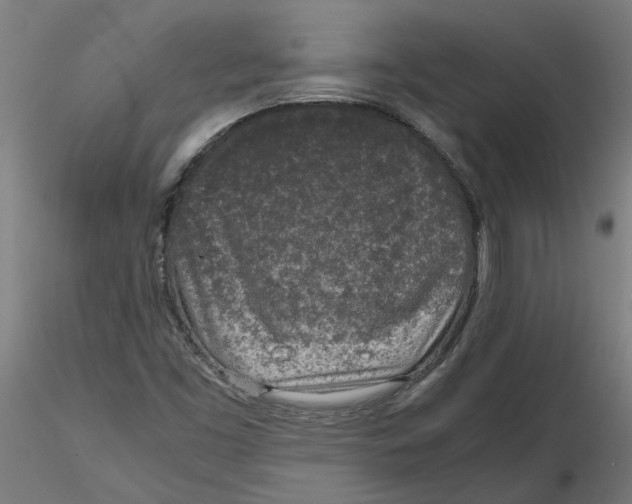 X0000116101453200912211601