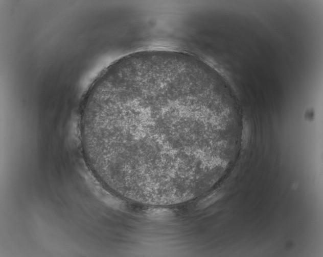 X0000116101454200912211601