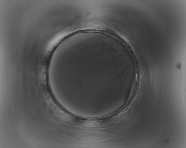 X0000116101455200912211601