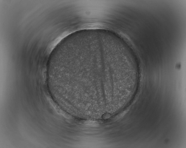 X0000116101457200912211601