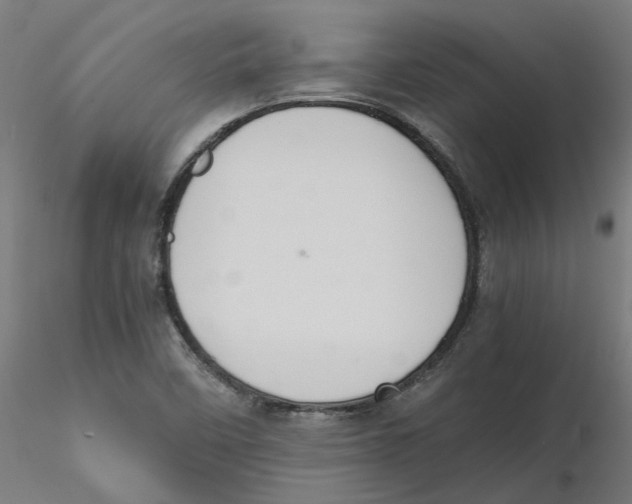 X0000116101458200912211601