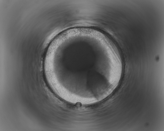 X0000116101459200912211601