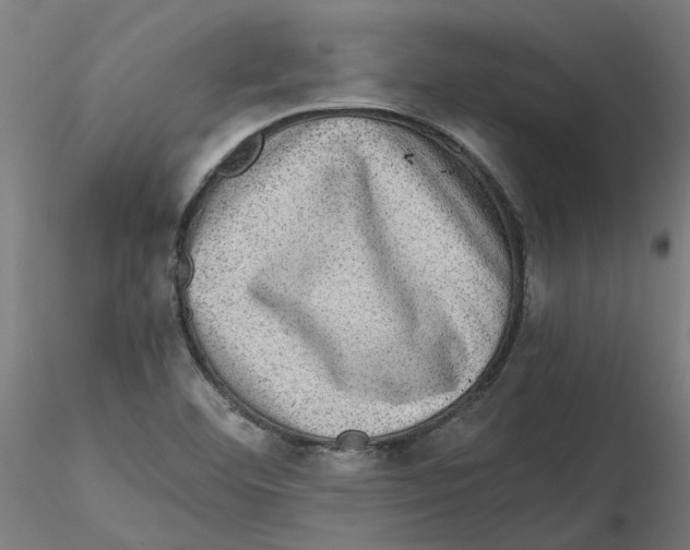 X0000116101460200912211601