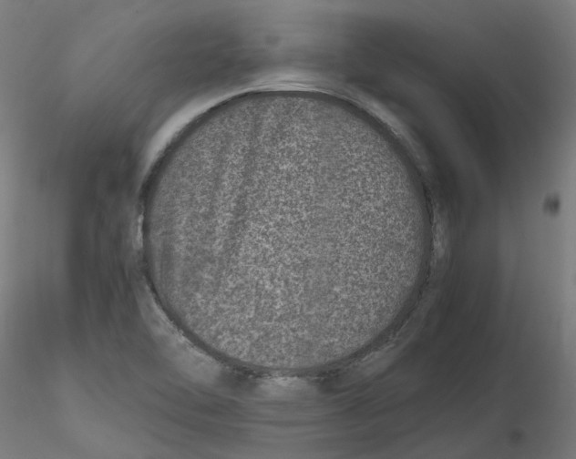 X0000116101462200912211601