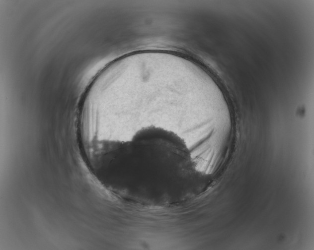 X0000116101463200912211601