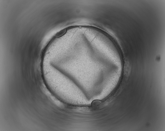 X0000116101464200912211601