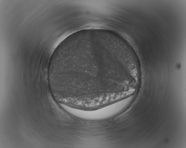 X0000116101465200912211601