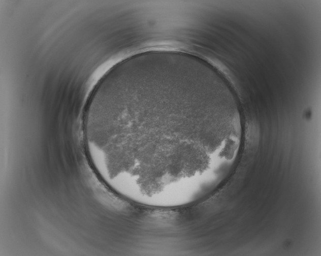 X0000116101466200912211601