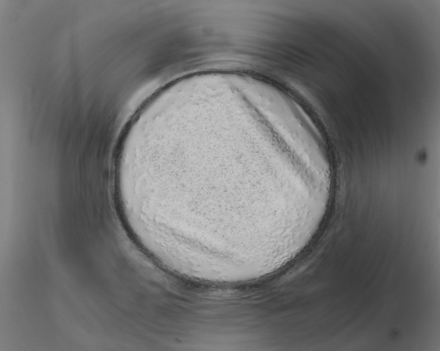 X0000116101467200912211601