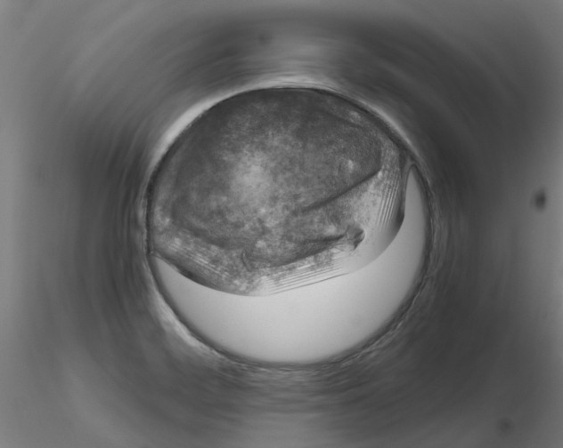 X0000116101468200912211601