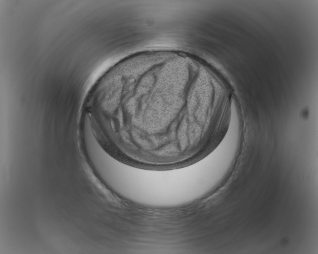 X0000116101469200912211601