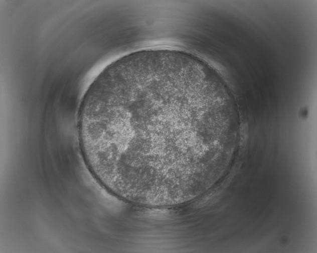 X0000116101470200912211601