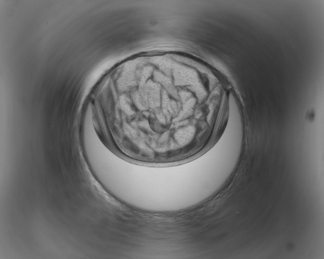 X0000116101472200912211601