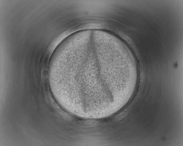 X0000116101473200912211601