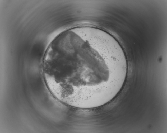 X0000116101474200912211601