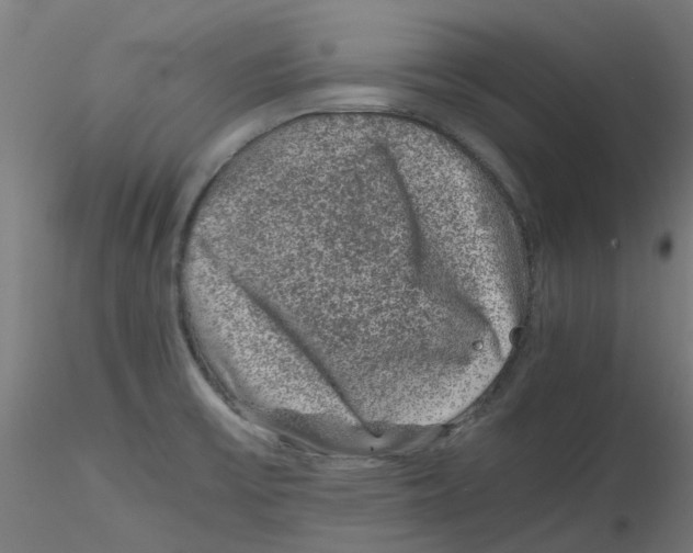 X0000116101475200912211601