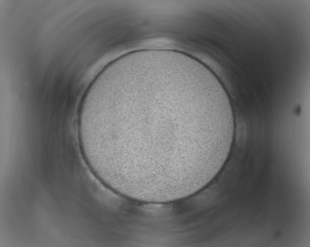 X0000116101478200912211601