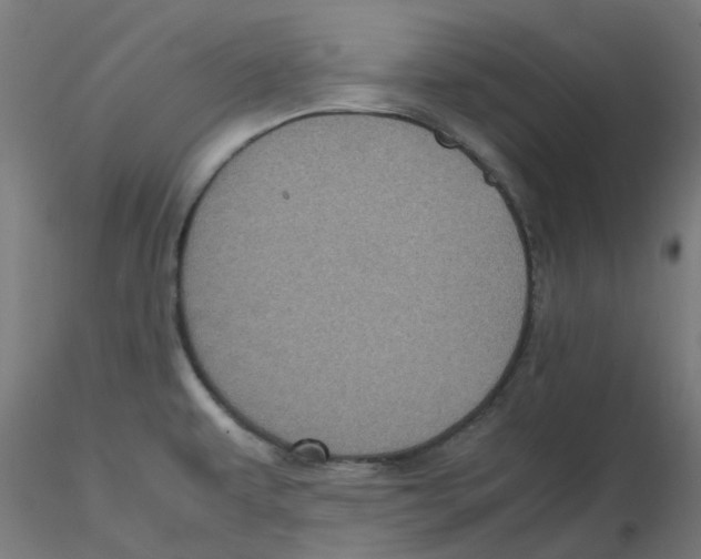 X0000116101479200912211601