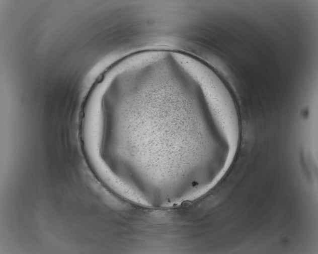 X0000116101480200912211601