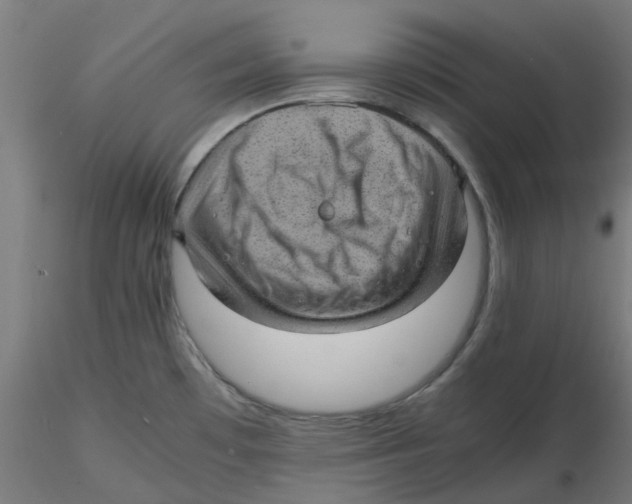 X0000116101481200912211601