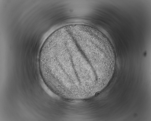 X0000116101482200912211601