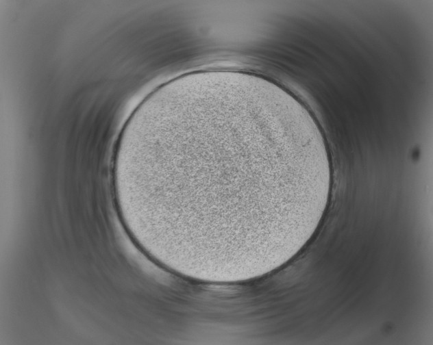 X0000116101483200912211601