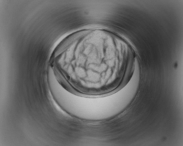 X0000116101484200912211601