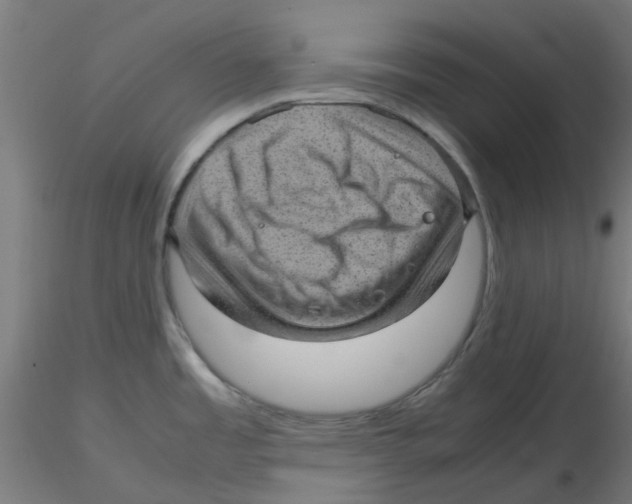 X0000116101485200912211601