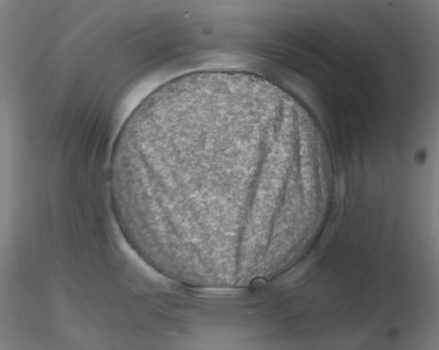 X0000116101487200912211601