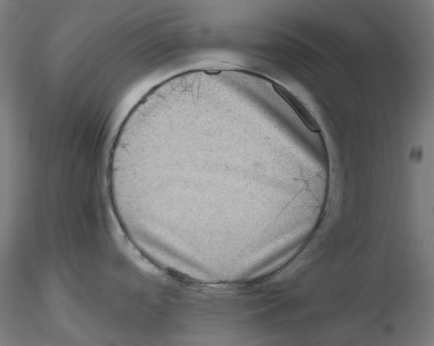 X0000116101488200912211601