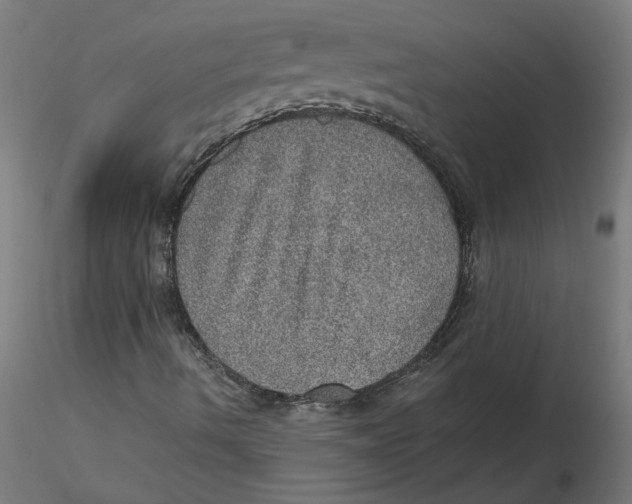 X0000116101490200912211600