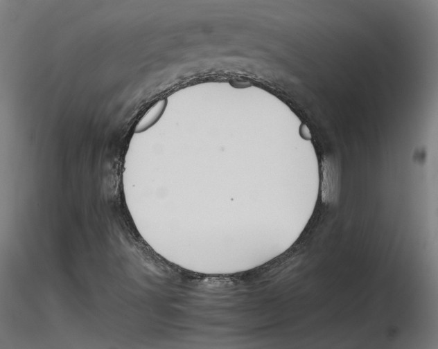 X0000116101491200912211600