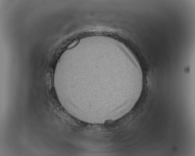 X0000116101493200912211600