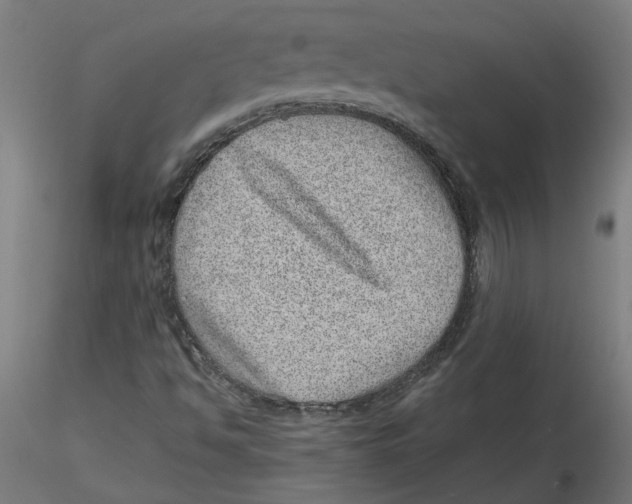 X0000116101494200912211600