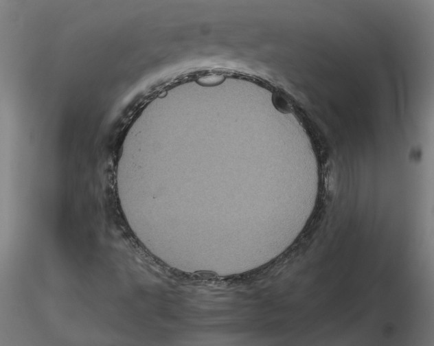 X0000116101495200912211600