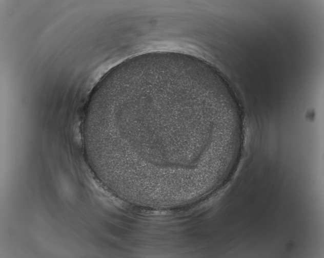 X0000116101497200912211600