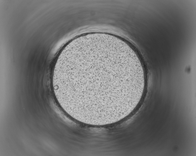 X0000116101498200912211600