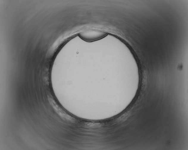 X0000116101499200912211600