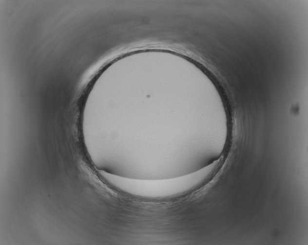 X0000116101502200912211600