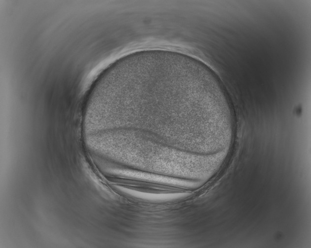 X0000116101507200912211600