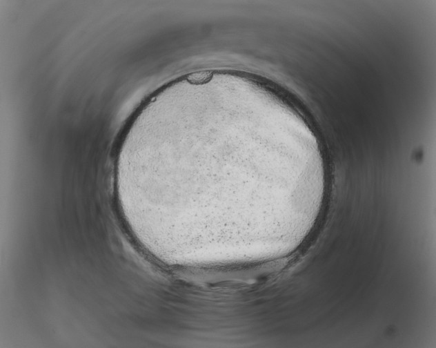 X0000116101509200912211600