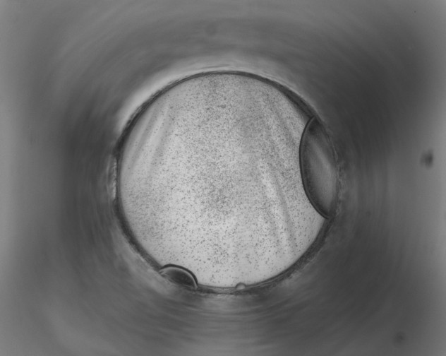 X0000116101510200912211600