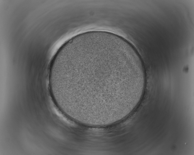 X0000116101511200912211600