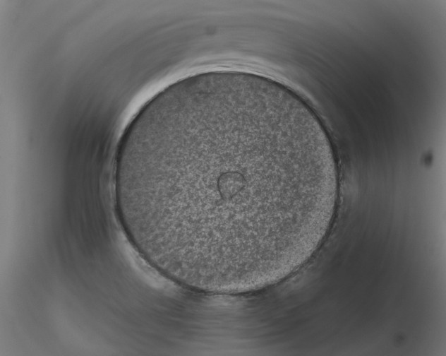 X0000116101514200912211600