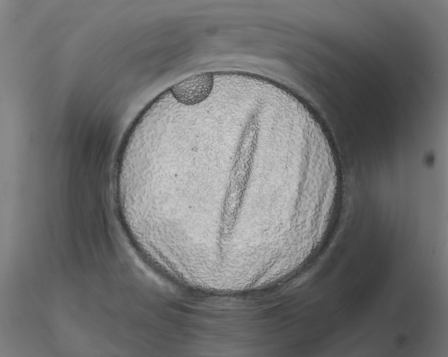 X0000116101517200912211600