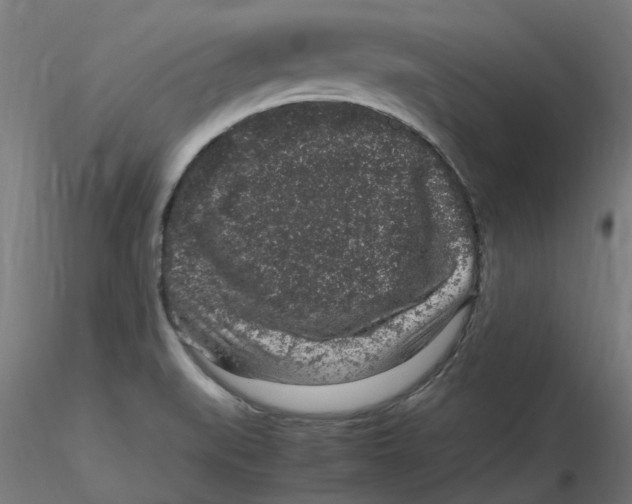 X0000116101519200912211600