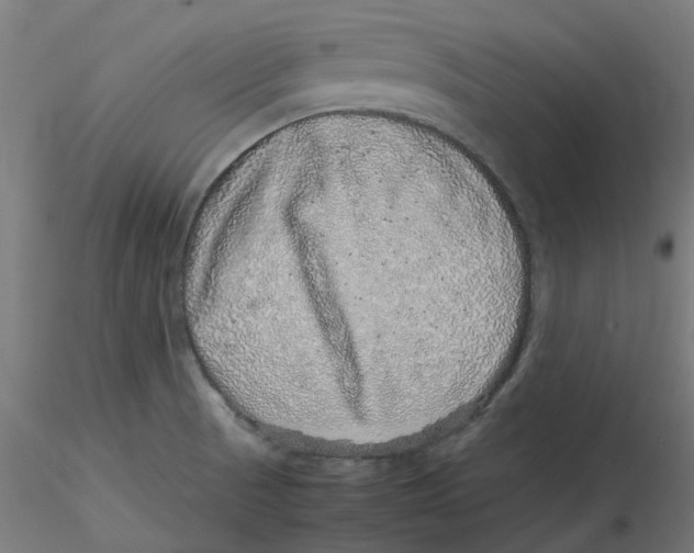 X0000116101521200912211601