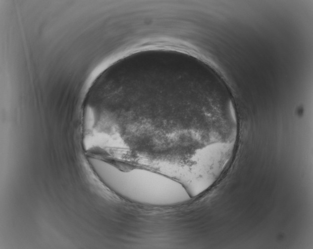 X0000116101522200912211601